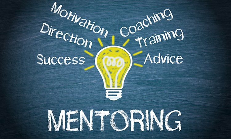 Mentoring support in South-East