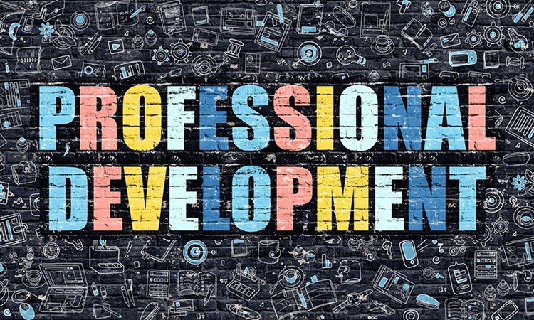 Professional development