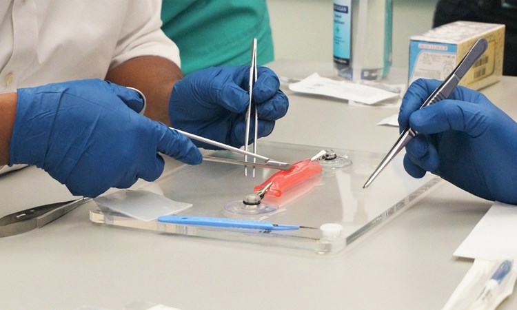 Core Surgical Training Programme (CST)