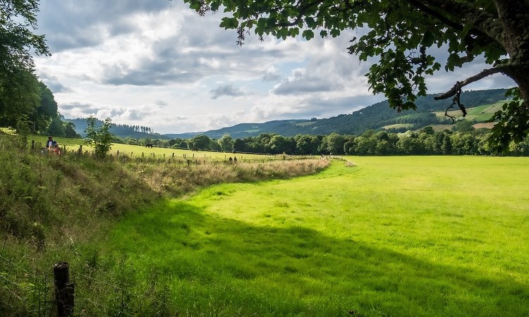 Rural and remote placement opportunities