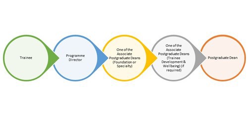 Trainee, Programme Director, Associate Postgraduate Deans (Foundation or Speciality), Associate Postgraduate Deans (TDWS If required), Postgraduate Dean)