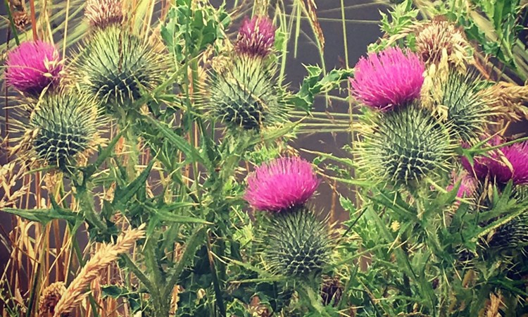 Welcome to GP training