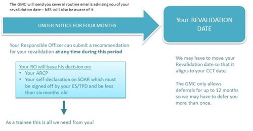 Revalidation during training guide