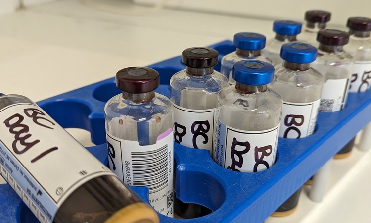 Diagnostics Simulation Training