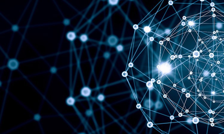 RCPCH Curriculum, Portfolio & ARCP