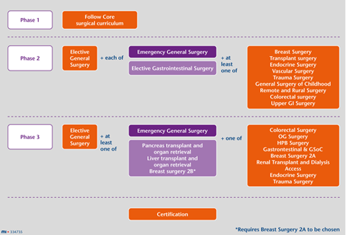 Timeline with 3 phases