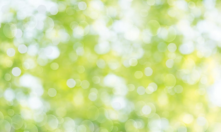 North wellbeing resources